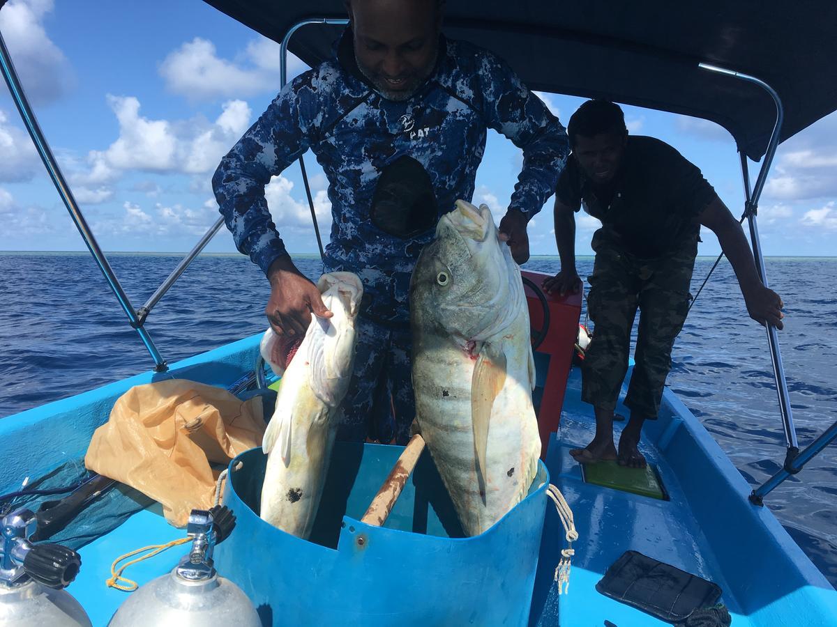 Marinabayvilla-Himandhoo Bagian luar foto